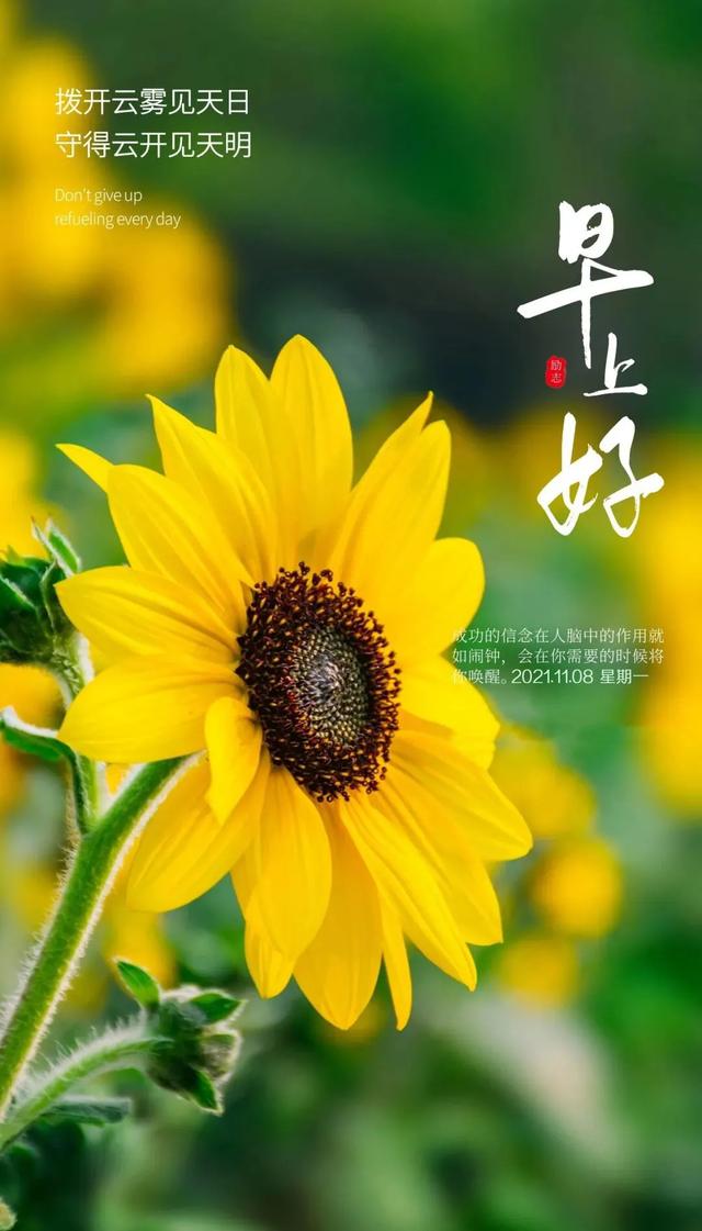 激励人心的八字短句 激励人心的八字短句