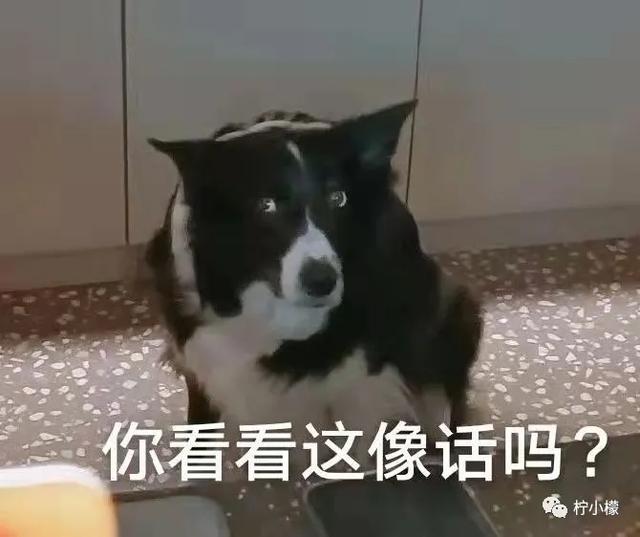 生辰八字算命说我一定会离婚 生辰八字算命说我一定会离婚