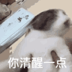 八字选电话号码