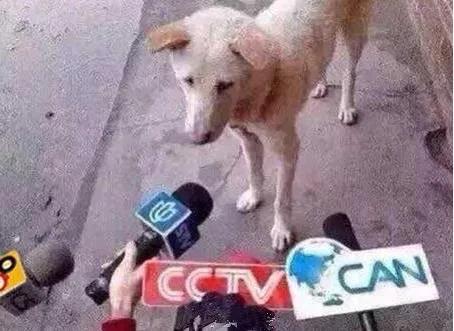 李沁八字命理 李沁八字命理