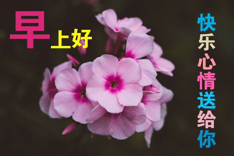 激励人心的八字短句 激励人心的八字短句