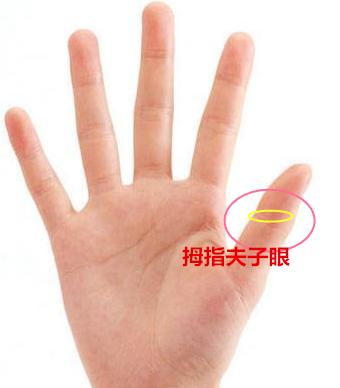 八字夫子财怎样查