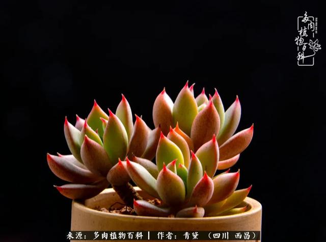 八字在线测试相克