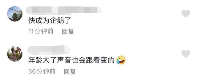 何洁八字热议 何洁八字热议