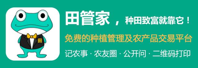 结婚算生辰八字假的