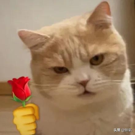 八字偏强和八字偏弱在一起 八字偏强和八字偏弱在一起