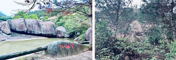 言明盲派八字命理视频