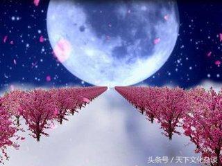 八字纯阳能结婚吗 八字纯阳能结婚吗