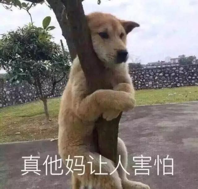 网上五行八字分析是骗人的吗 网上五行八字分析是骗人的吗