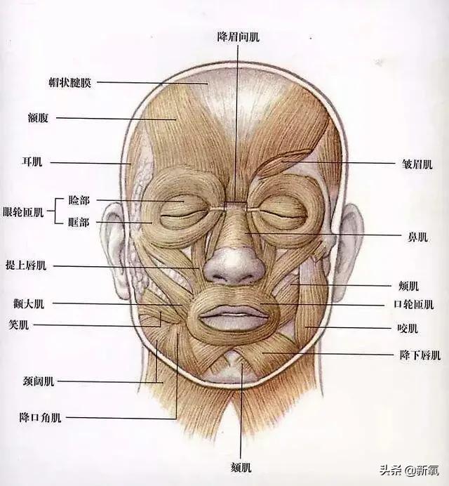 八字偏强和八字偏弱在一起 八字偏强和八字偏弱在一起