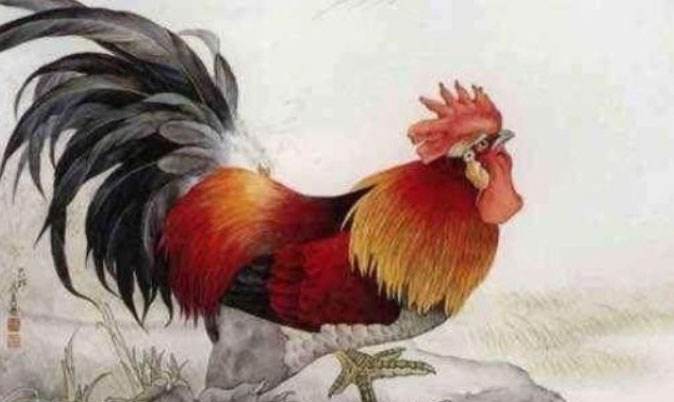鸡人2022年每月运势如何