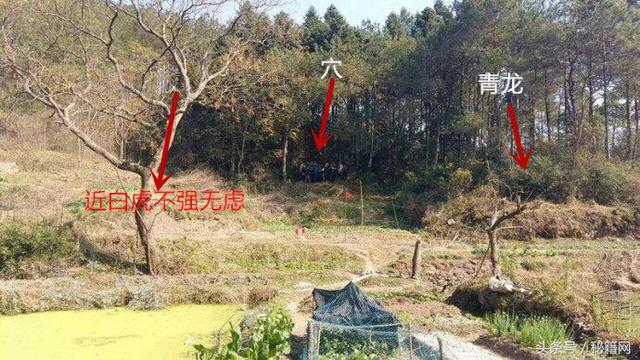 李涵辰八字预测精批
