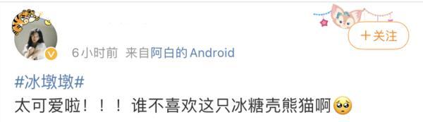 网上排八字官方网站