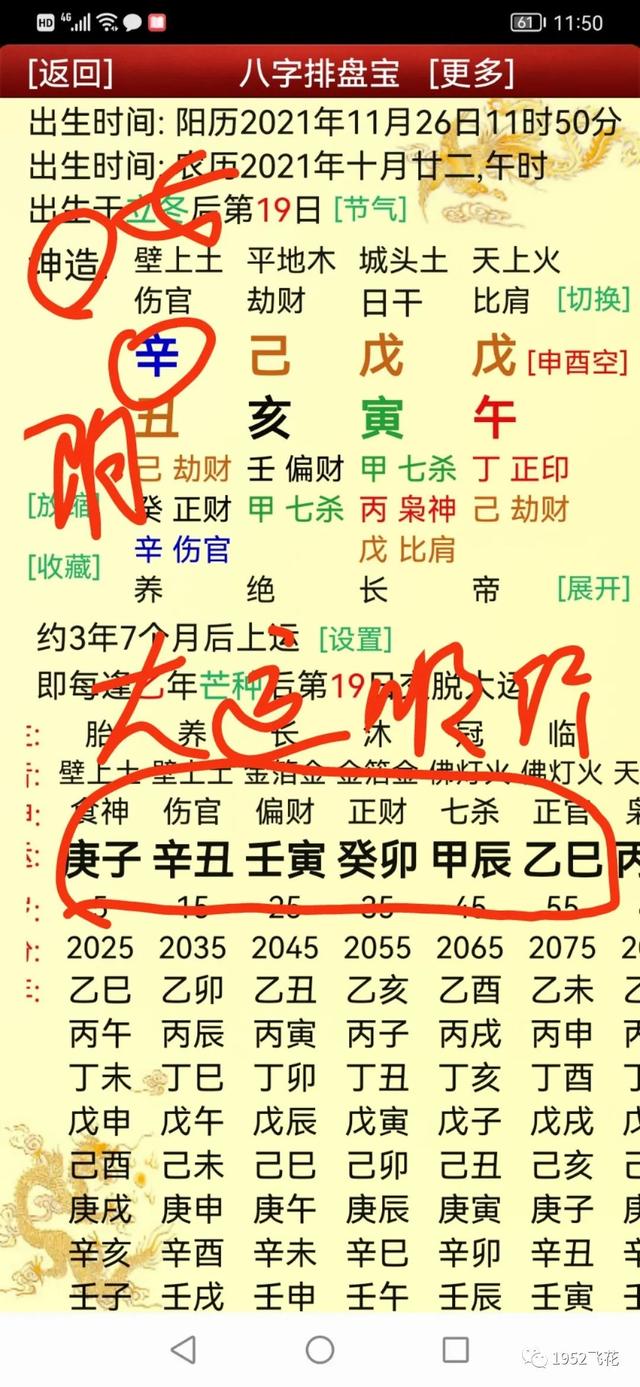 网上八字排盘系统