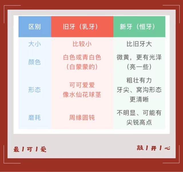 中切牙八字间隙 中切牙八字间隙