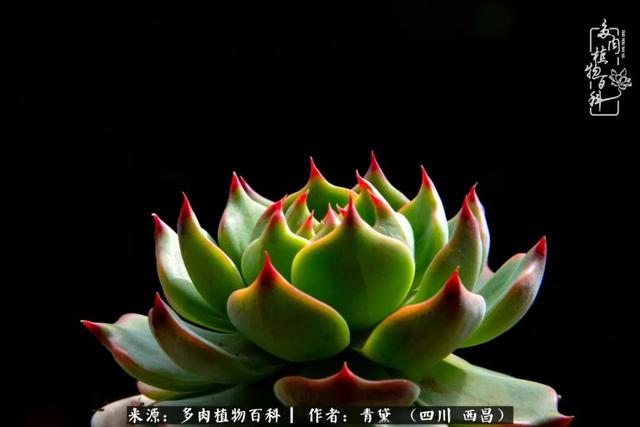 八字在线测试相克