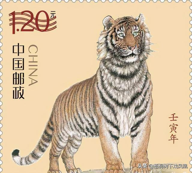 丙申日柱看2022年壬寅年运势 丙申日柱看2022年壬寅年运势