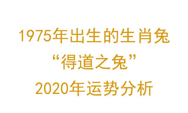 董易奇2022年生肖虎运程视频详解 董易奇2022年生肖虎运程视频详解