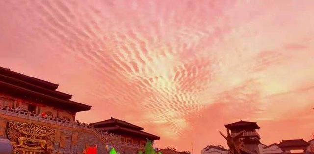 红地毯八字乳图片 红地毯八字乳图片