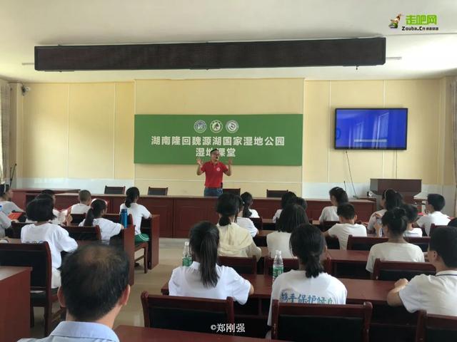 自在道人重组八字理论