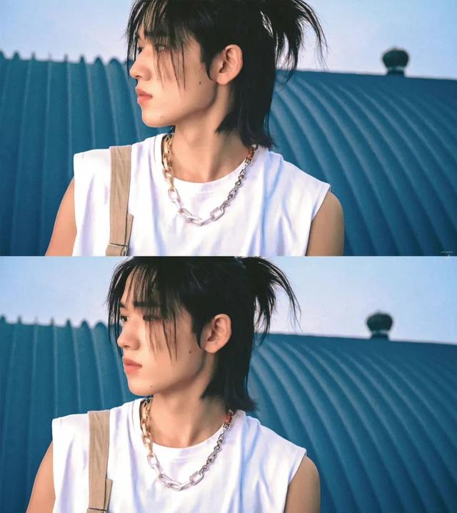 陈宝莲儿子的八字分析 陈宝莲儿子的八字分析