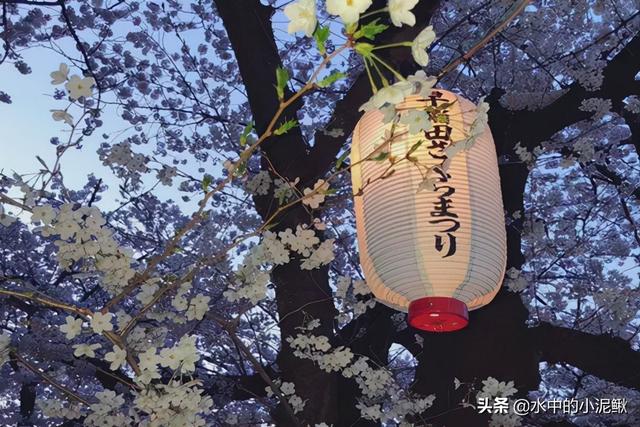 身辰八字在线合盘
