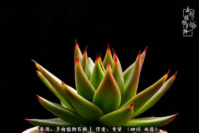 八字在线测试相克