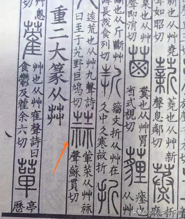 八字头可以加什么偏旁 八字头可以加什么偏旁