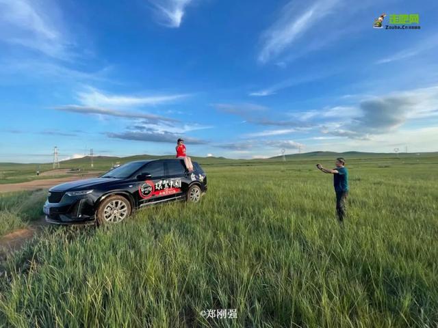 自在道人重组八字理论