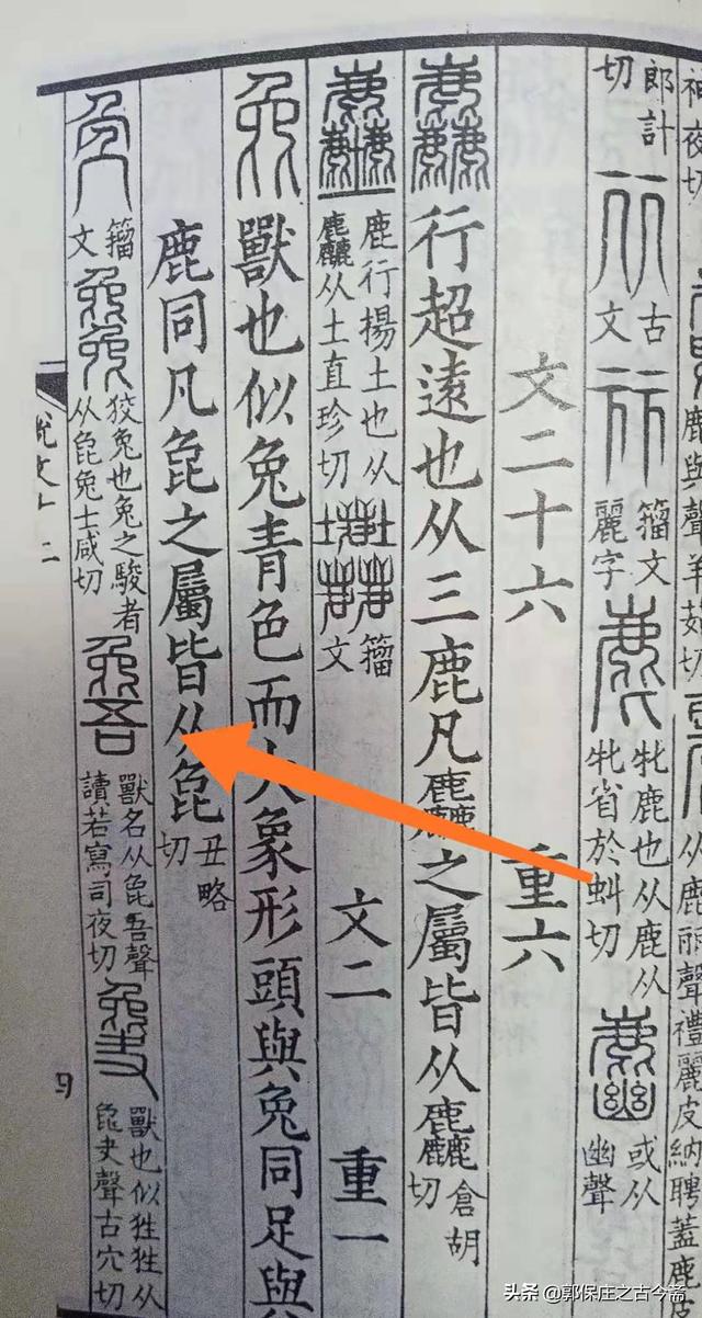 八字头可以加什么偏旁 八字头可以加什么偏旁