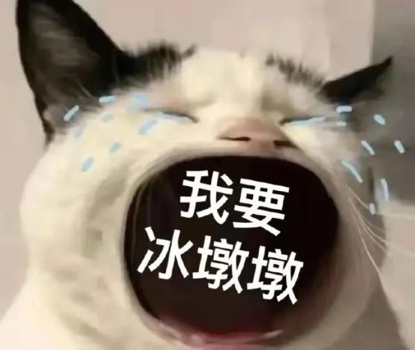 网上排八字官方网站