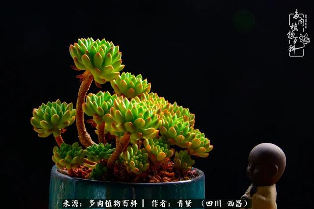 八字在线测试相克