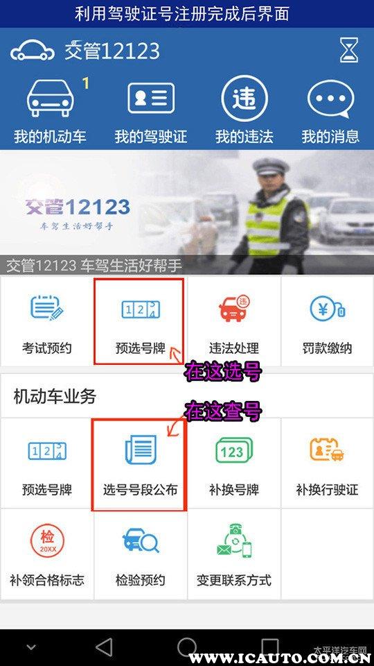 在线八字选车牌