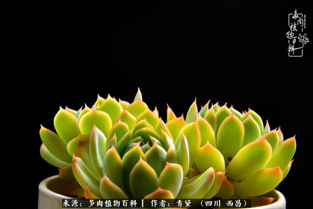 八字在线测试相克