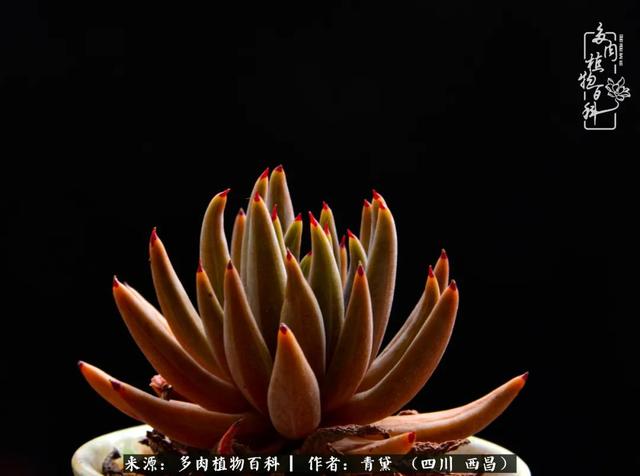 八字在线测试相克