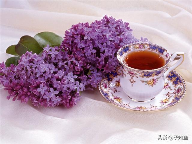 狮子座2022年塔罗牌运势视频 狮子座2022年塔罗牌运势视频