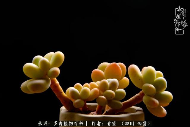 八字在线测试相克