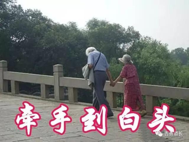 八字感情不能自拔