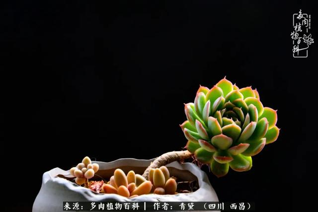 八字在线测试相克