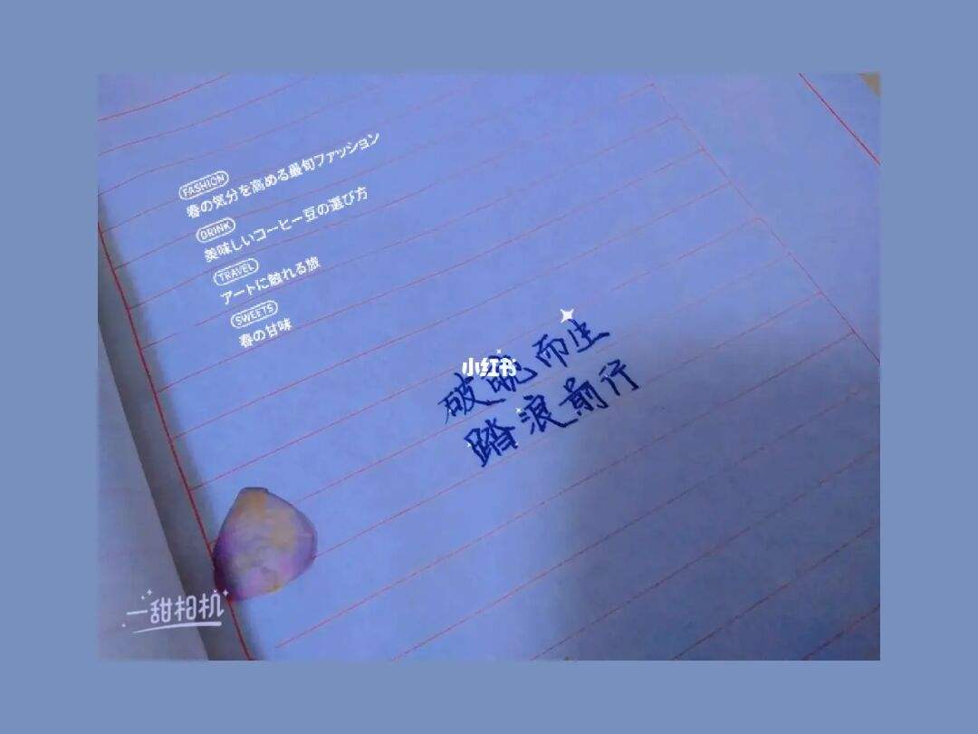 脾气温柔的八字