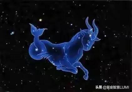 2022年12星座运势大全摩羯座女生