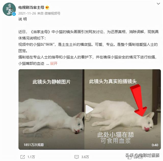 八字综合得分为零好吗 八字综合得分为零好吗