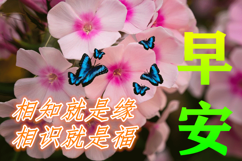 激励人心的八字短句 激励人心的八字短句