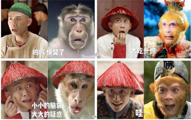 蒋依依八字分析 蒋依依八字分析