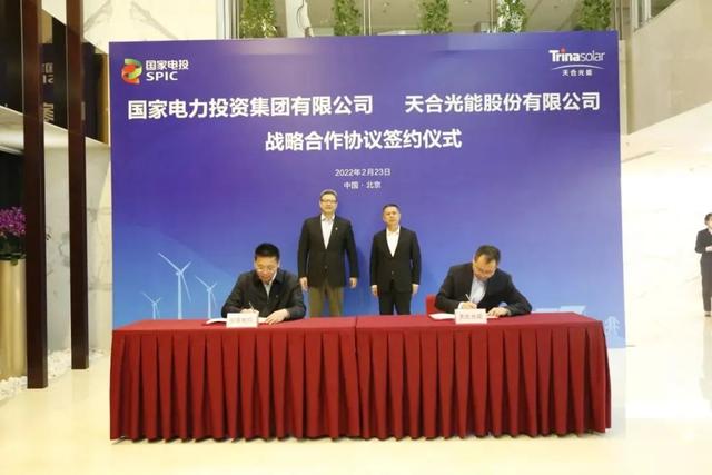 1976年龙在2022的运势 1976年龙在2022的运势