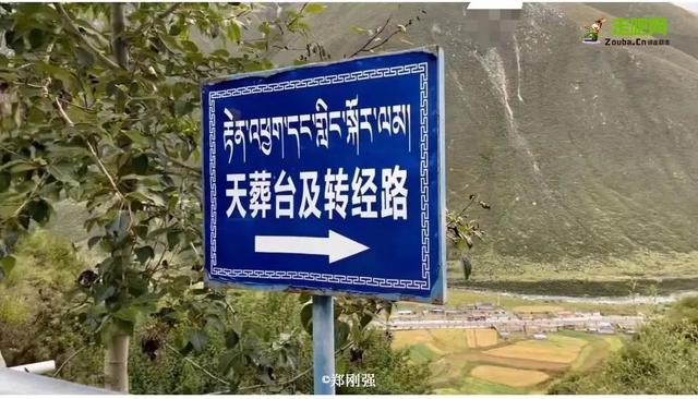 自在道人重组八字理论