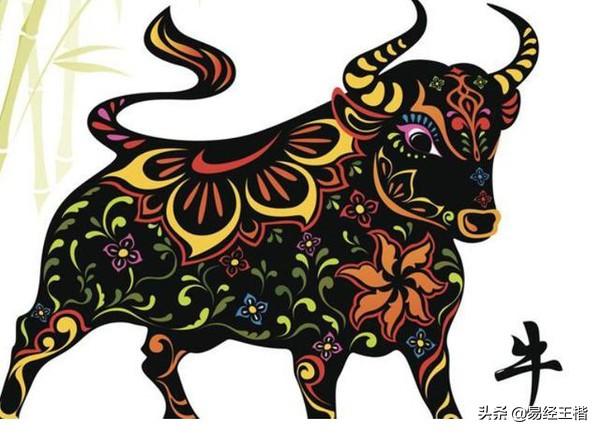 八字丑代表的行业 八字丑代表的行业