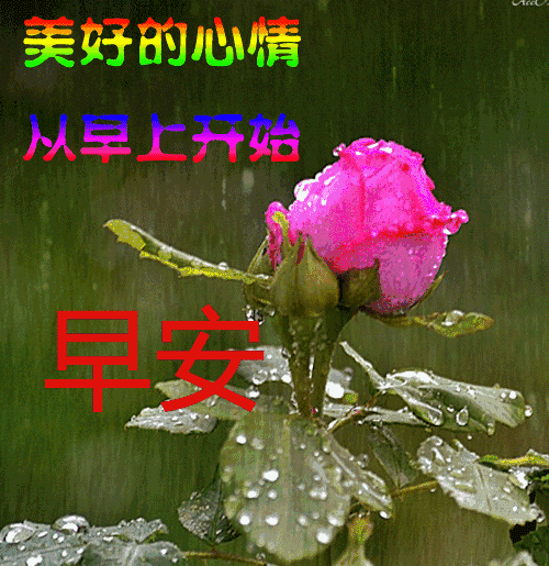 激励人心的八字短句 激励人心的八字短句