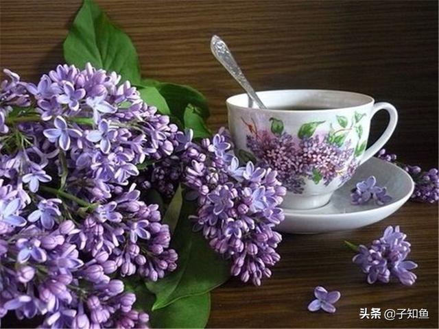 狮子座2022年塔罗牌运势视频 狮子座2022年塔罗牌运势视频