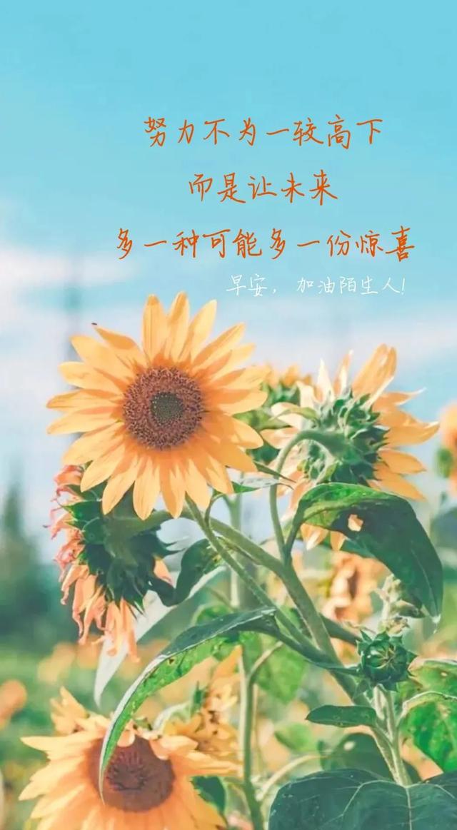 激励人心的八字短句 激励人心的八字短句